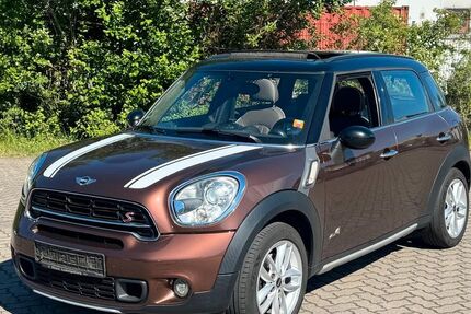 Mini Countryman S (Cooper) 209.990 km 6.900 &euro; Worms 67547