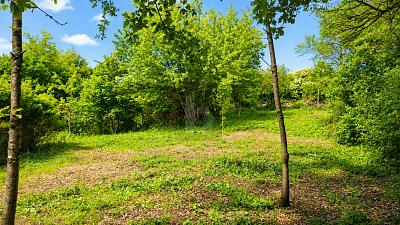 TRAUMSTÜCK IN DER FRÄNKISCHEN LANDSCHAFT - Grundstück Priesendorf | Angebot:27016536