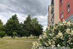 4-Raum-Eigentumswohnung für Familien oder Kapitalanleger in ruhiger Lage von Sörnewitz 4 zimmer