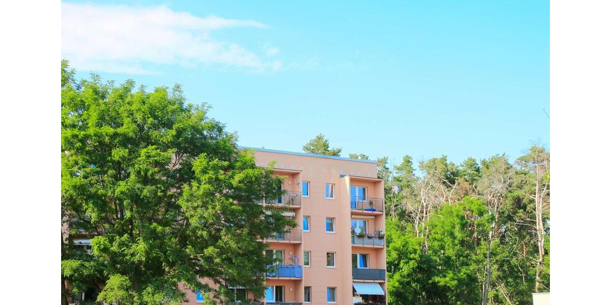 Waldesruh - frisch renovierte 4-Zimmer-Wohnung mit viel Raum zum Wohlfühlen 4 zimmer