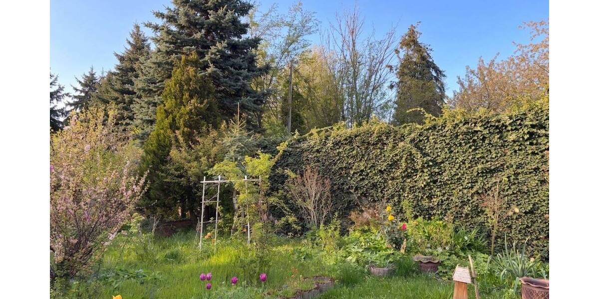 Einfamilienhaus Schkeuditz Glesien - 7 Zimmer, 170 m&sup2;, 130.000&euro; | Angebot:26556389