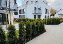 BEZUGSFERTIG! DEN SOMMER IM EIGENEN GARTEN GENIESSEN! 3-Zi.,Tageslichtbad u. Sonnenterrasse! Sie erhalten sogar den KfW-Zuschuss in Höhe von 26.250€!