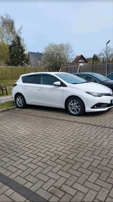 Auris