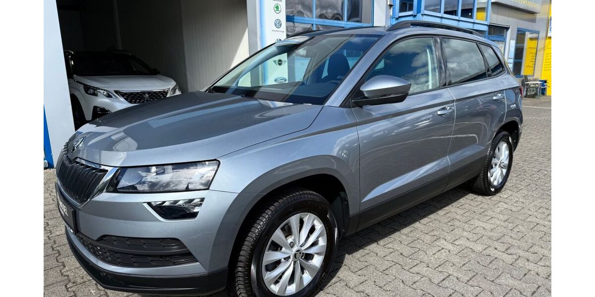 Skoda Karoq 91.000 km 19.590 &euro; Ayl 54441