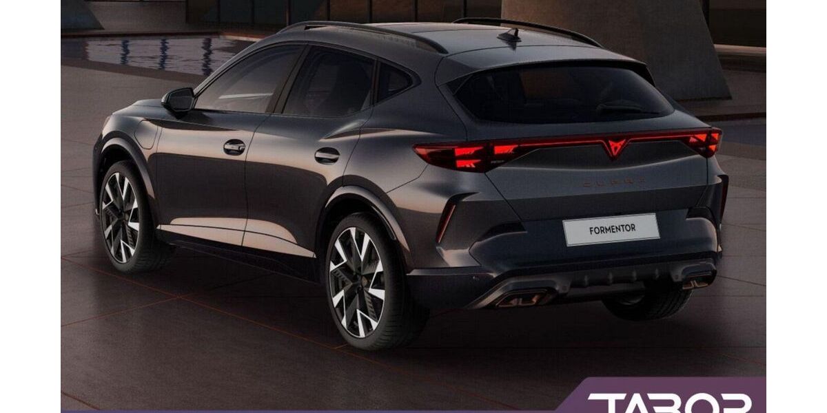 Cupra Formentor 53.000 km 28.100 &euro; Rabenau 35466