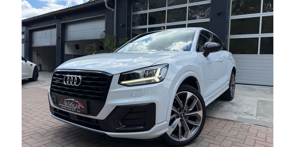 Audi Q2 107.000 km 20.999 &euro; Floß 92685
