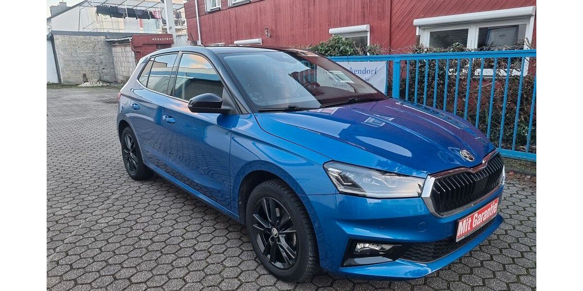 Skoda Fabia 45.000 km 16.590 &euro; Trier 54295