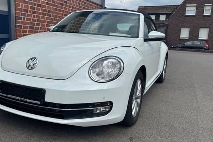 VW Beetle