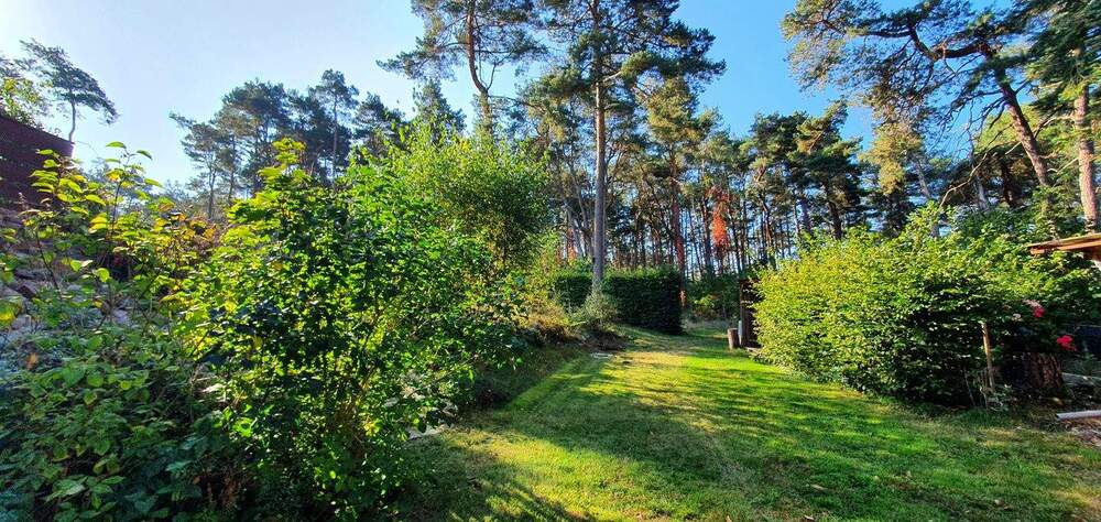 Für die große Familie mit Waldzugang in ruhiger Sackgassenlage - Mehrfamilienhaus, Wohnhaus Gorleben | Angebot:23974168