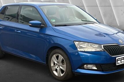 Skoda Fabia 8.000 km 16.490 &euro; Mehring 54346