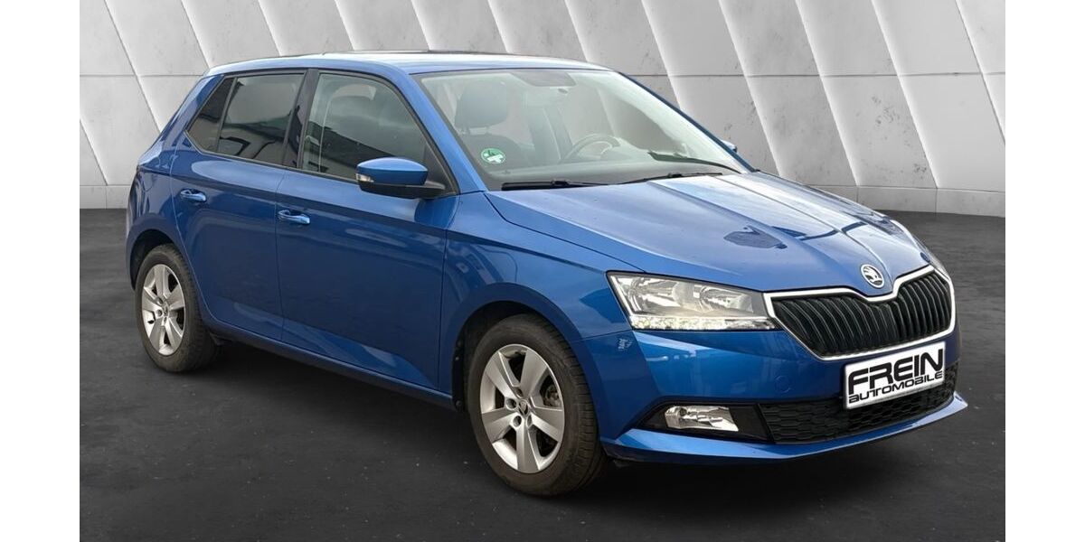 Skoda Fabia 8.000 km 16.490 &euro; Mehring 54346
