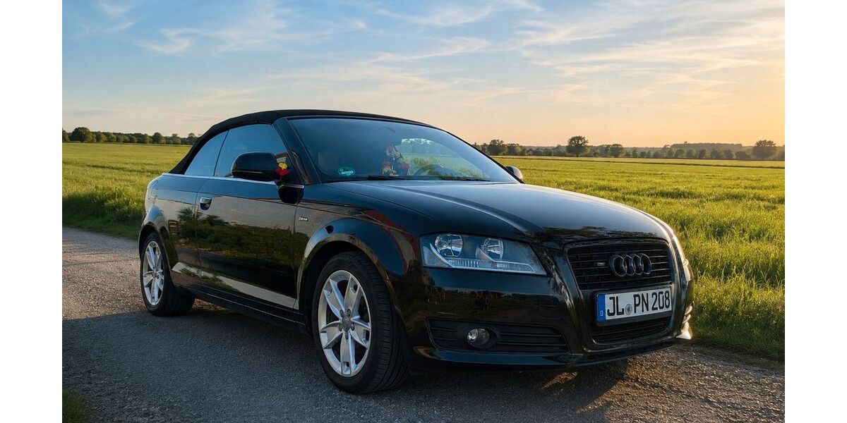 Audi A3 150.000 km 6.500 &euro; Burg 39288