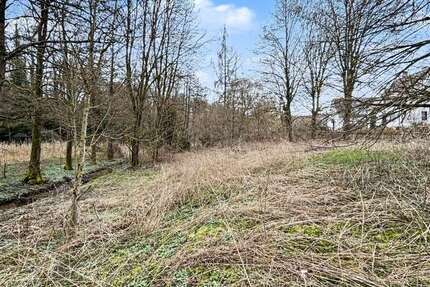 Grundstück Wilburgstetten - Wittenbach Wittenbach - 55.000&euro; | Angebot:26249866