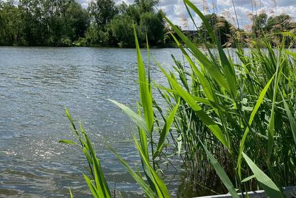 Haus Liebenwalde - 4 Zimmer, 140 m&sup2;, 1.400&euro; | Angebot:25292071