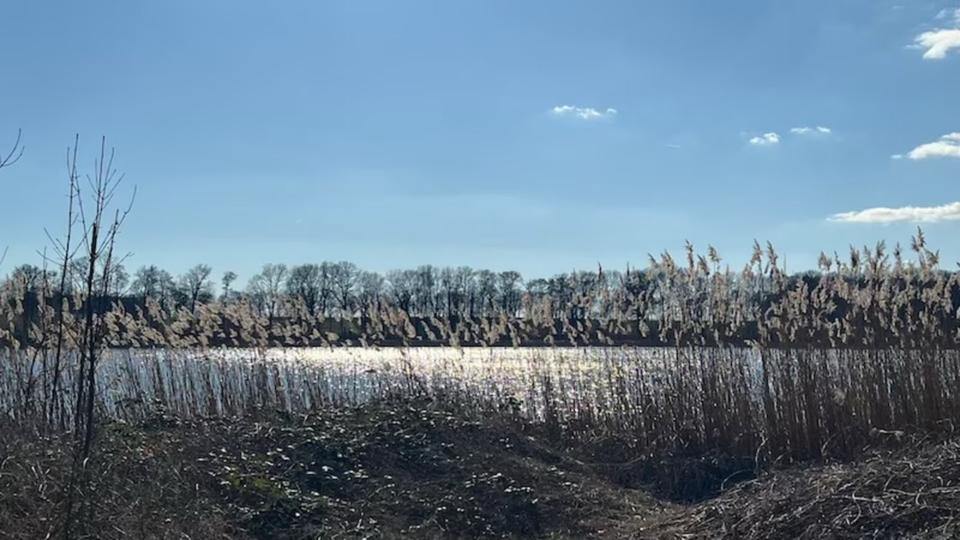 Bungalow Märkisch Linden - 1.5 Zimmer, 33 m&sup2;, 158.000&euro; | Angebot:26060787