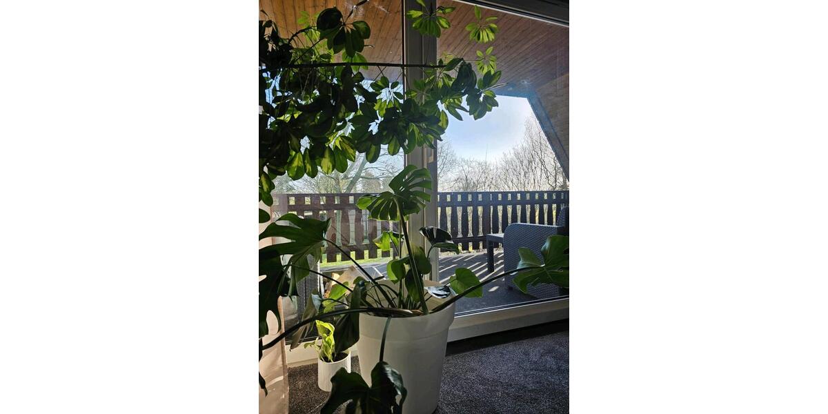 Einfamilienhaus Edewecht - 11 Zimmer, 300 m&sup2;, 465.000&euro; | Angebot:25640645