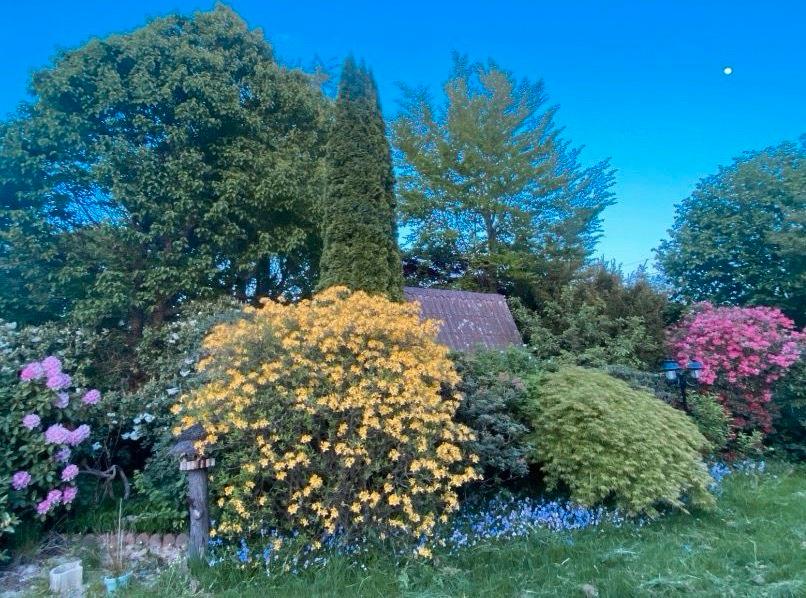 Mehrfamilienhaus, Wohnhaus Senden - 11 Zimmer, 200 m&sup2;, 350.000&euro; | Angebot:25163778