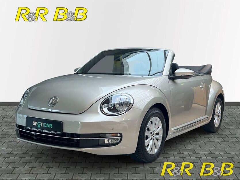 Beetle