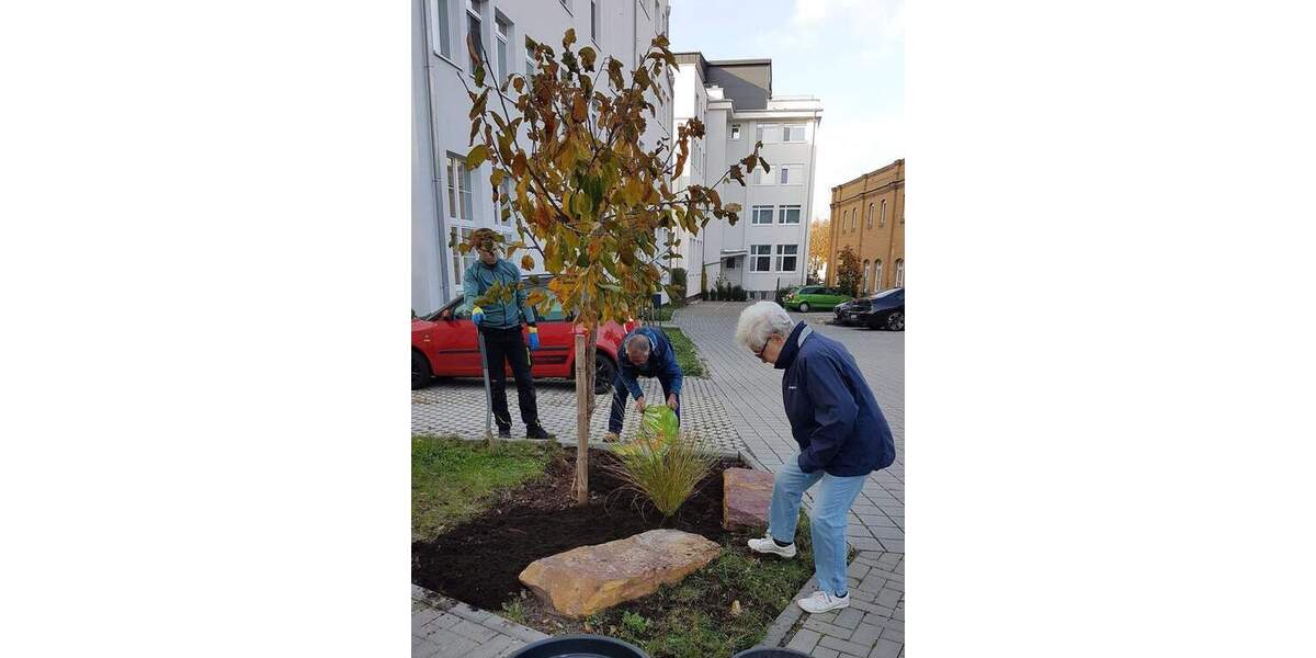 Hier leuchtet Ihr Stern am Balkon - 3R + SP 3 zimmer