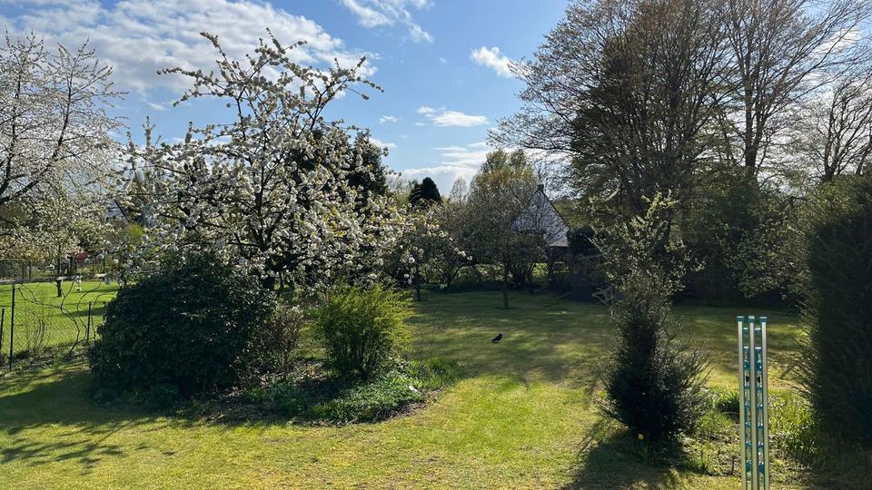 Grundstück Belm - 195.000&euro; | Angebot:10219624