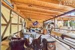 Gewerbeobjekt Schönau (Pfalz) Gebüg - 1 Zimmer, 489.000&euro; | Angebot:26422313
