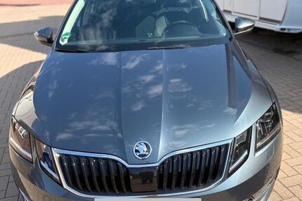 Skoda Octavia 139.559 km 16.950 &euro; Horstmar 48612