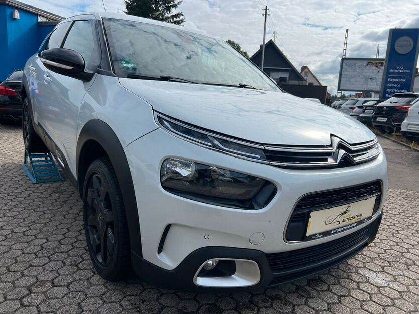 C4 Cactus