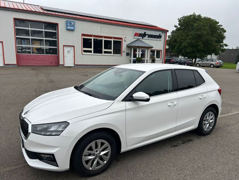 Skoda Fabia 11.100 km 17.880 € Geisingen 78187