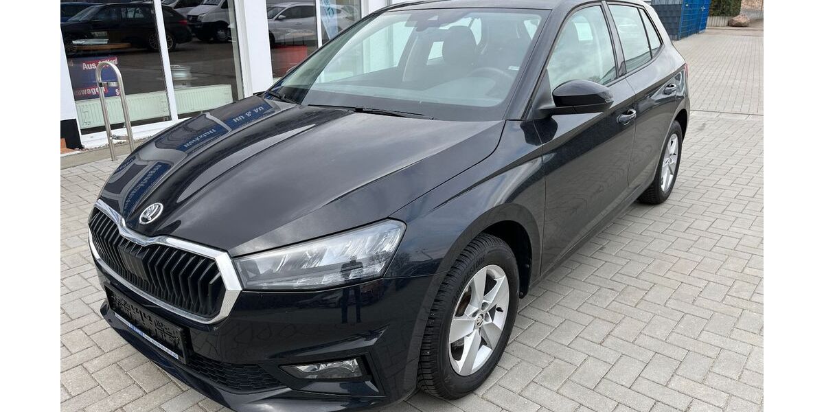 Skoda Fabia 15.319 km 15.990 &euro; Tessin 18195