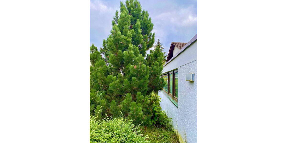 Einfamilienhaus Rudersberg - 1 Zimmer, 240 m&sup2;, 540.000&euro; | Angebot:26155468