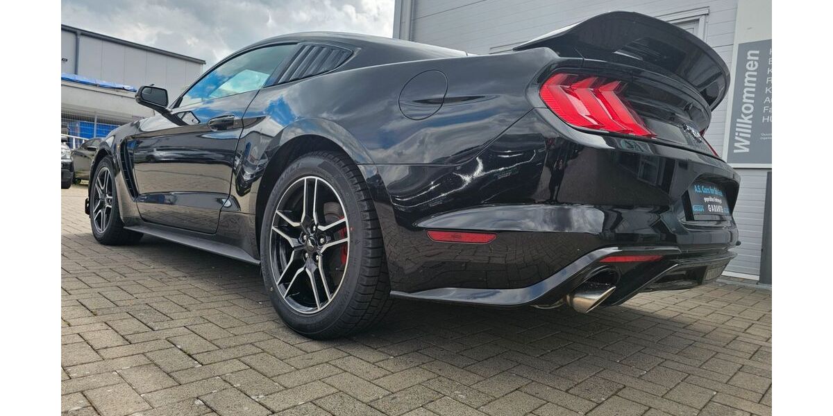 Ford Mustang 66.229 km 25.299 &euro; Erlensee 63526