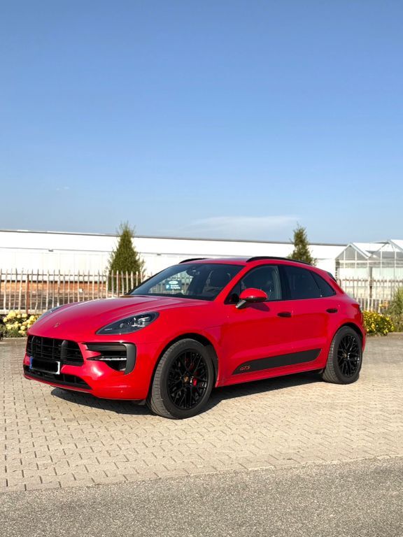 Macan
