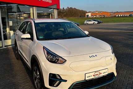 Kia Niro 38.749 km 19.670 &euro; Bitburg 54634