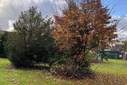 Grundstück zu verkaufen in Stadthagen 198.000 € 1074 m² zimmer