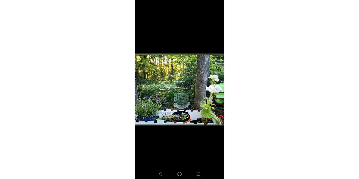 Erdgeschoßwohnung Landsberg am Lech Ellighofen - 2 Zimmer, 50 m&sup2;, 800&euro; | Angebot:25046016