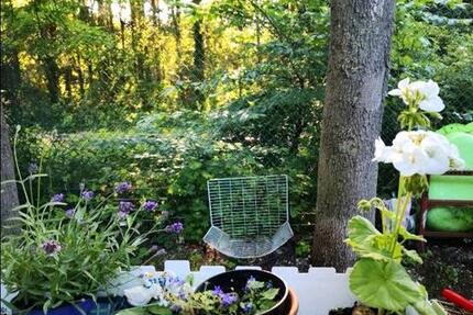 Wohnung Landsberg am Lech Ellighofen - 2 Zimmer, 50 m&sup2;, 800&euro; | Angebot:25046016