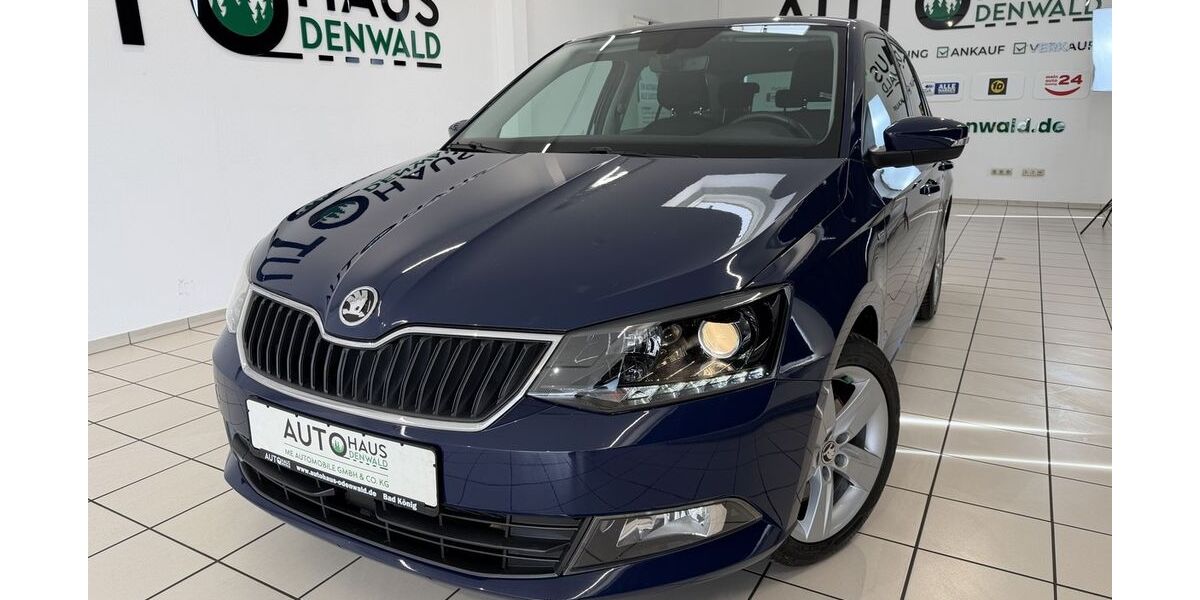 Skoda Fabia 127.000 km 11.200 &euro; Bad König 64732