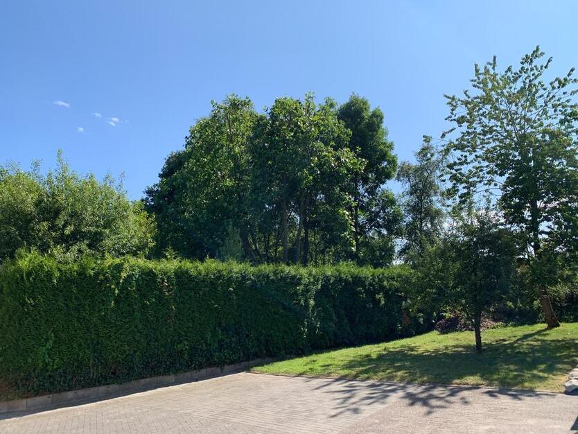 Großzügige DHH in Toplage von Apen – 130 m² Wfl.+62 m² Souterrain