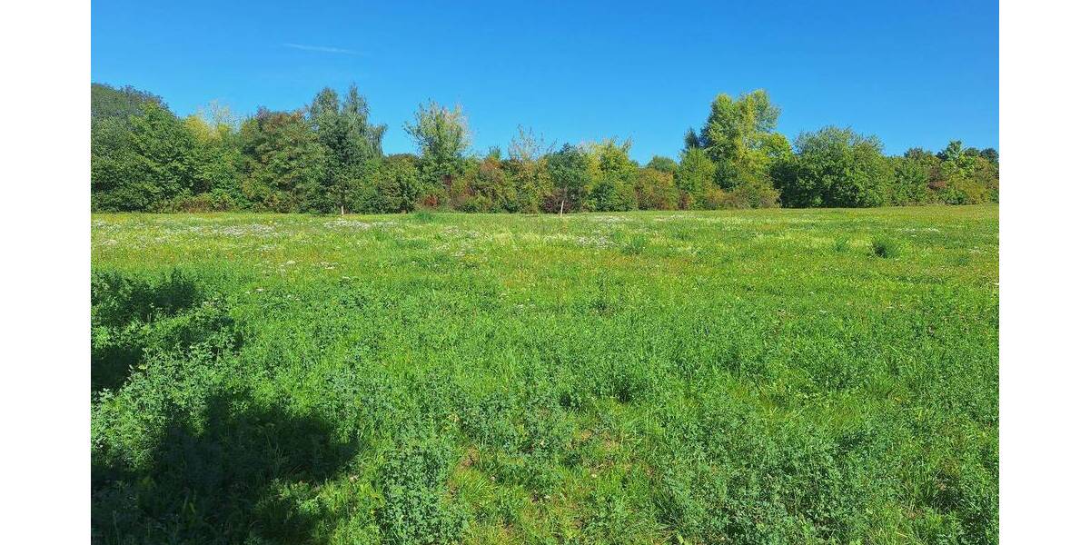 Grundstück Gera Bieblach-Ost - 450.000&euro; | Angebot:23975929