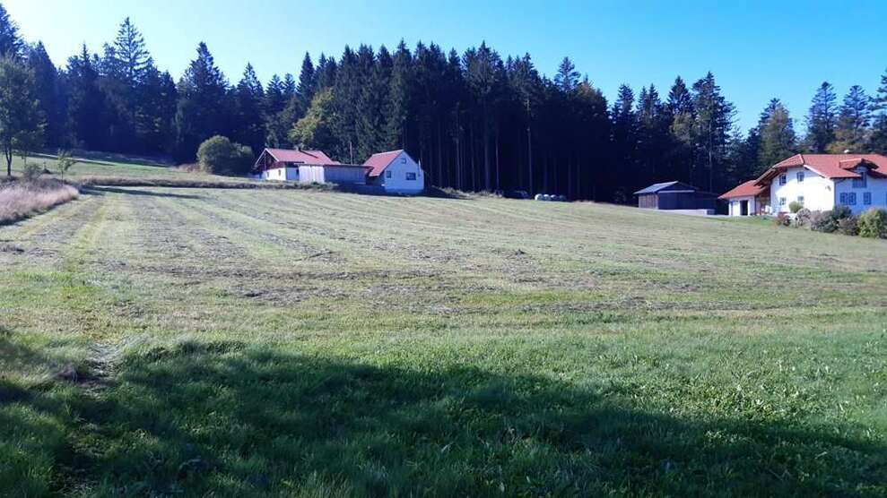 Grundstück zu verkaufen in Herzogsreut 177.000 € 6367 m²