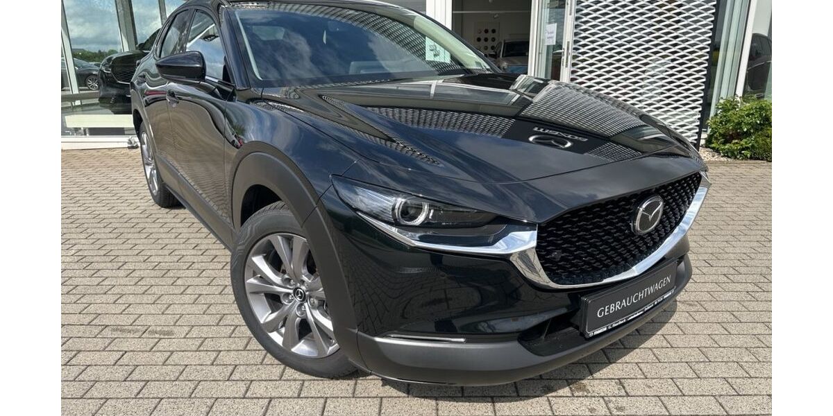 Mazda CX-30 10.104 km 28.770 &euro; Delitzsch 04509
