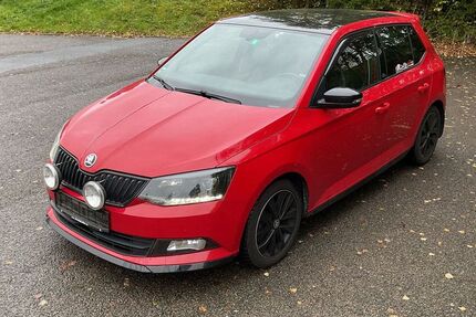 Skoda Fabia 264.000 km 7.990 € Nürnberg 90439