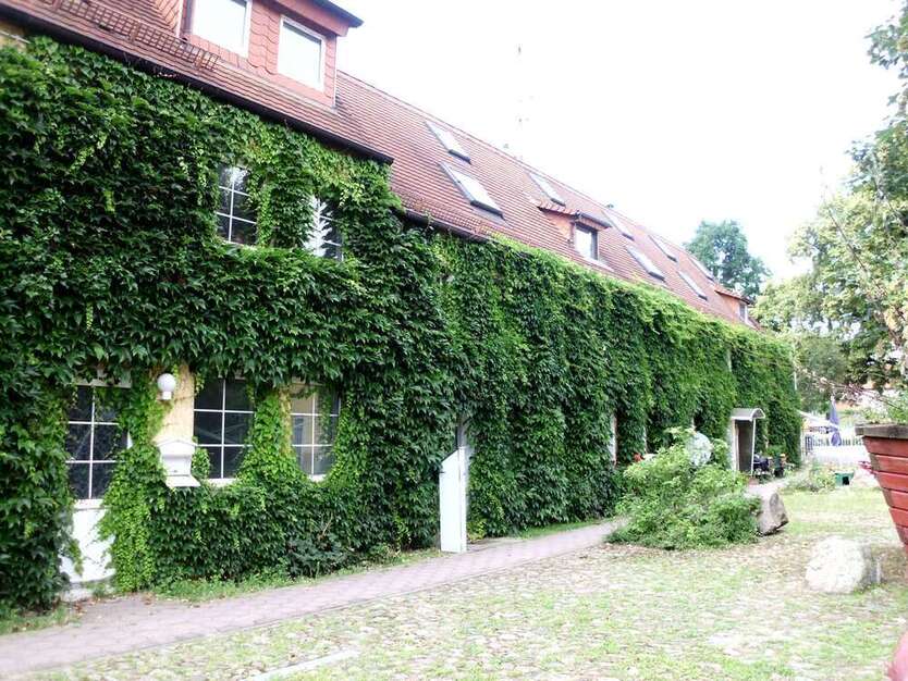 Wohnung zum Kaufen in Jesewitz 125.000 € 294 m²