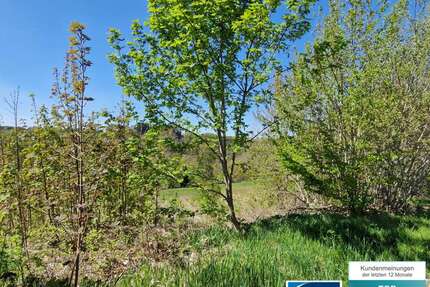 Grundstück Bölsberg - 35.000&euro; | Angebot:26460022