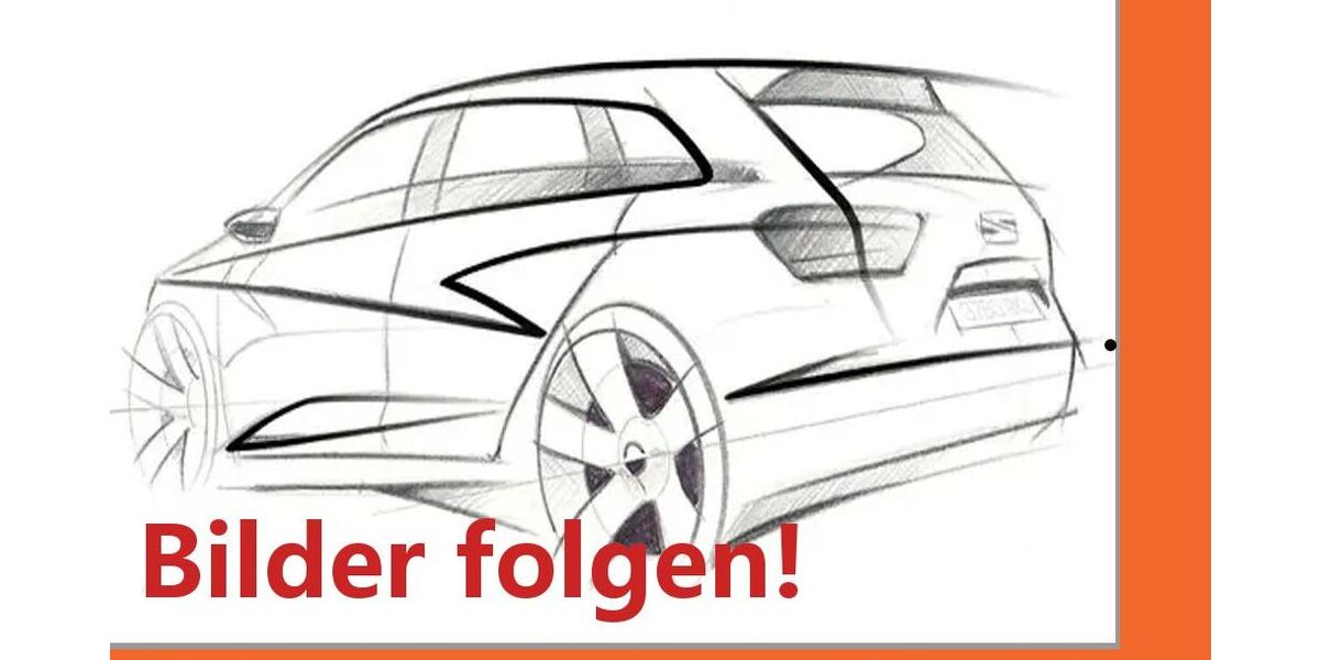 Cupra Formentor 48.850 km 24.990 &euro; Schwülper 38179