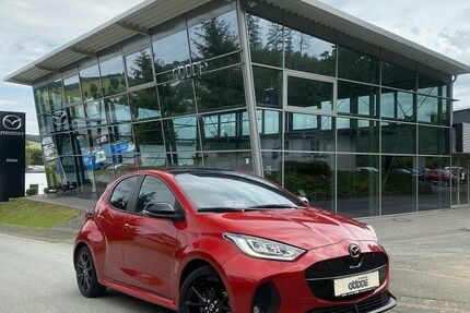 Mazda 2 Hybrid 13.729 km 23.890 &euro; Schmallenberg 57392