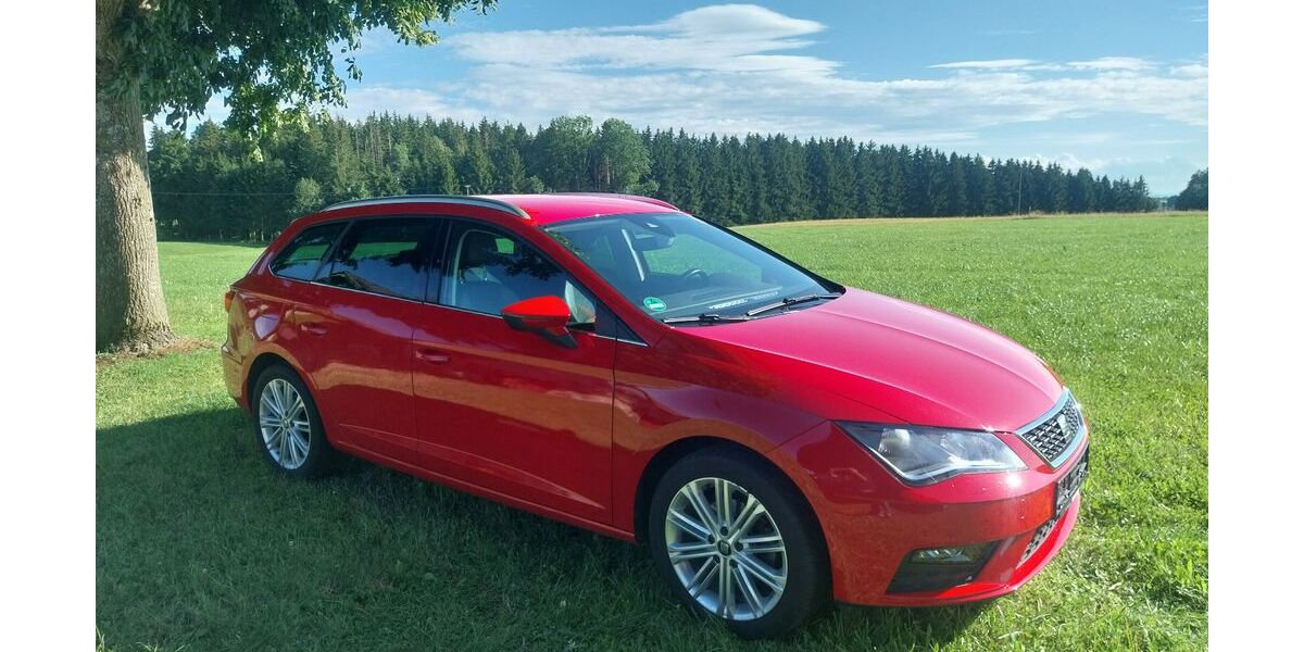 Seat Leon 75.000 km 14.990 &euro; Kißlegg 88353