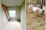 Modernes Landleben - Aufzug innerhalb der Wohnung!