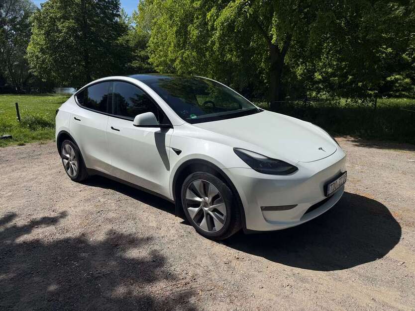 Model Y