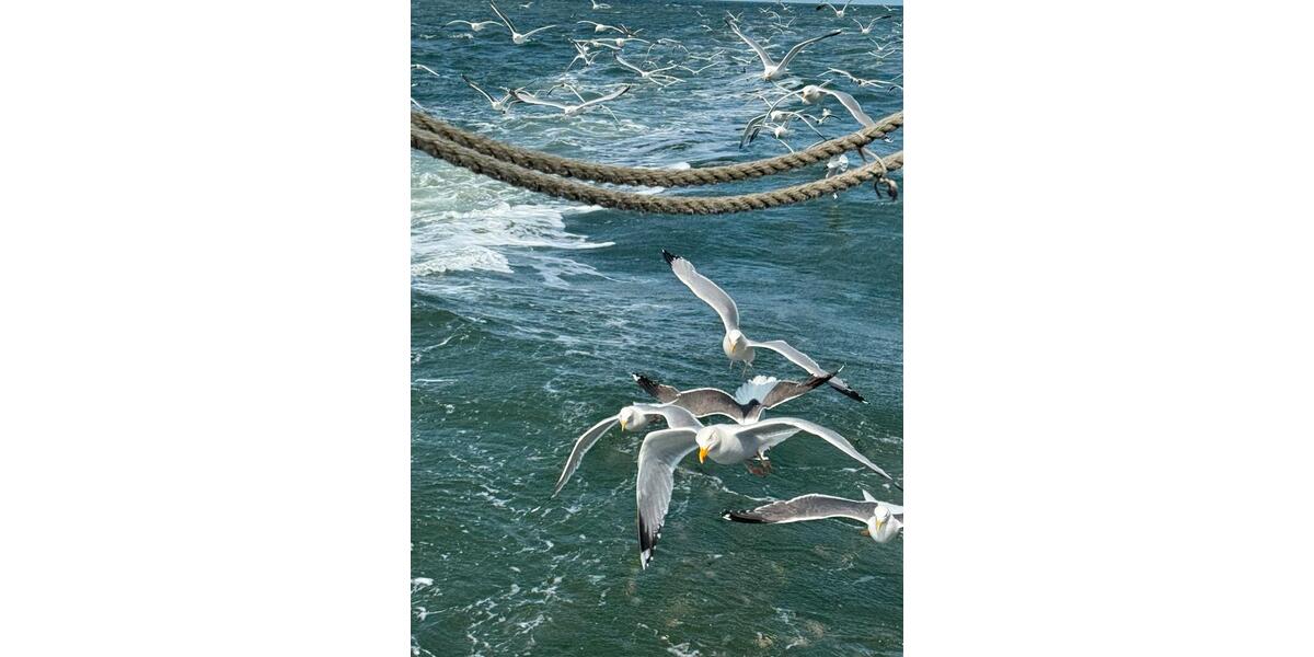 Ferienimmobilie Dortmund Mengede - 1.590&euro; | Angebot:25878907